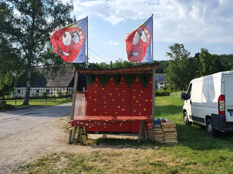 Erdbeeren Alteköster in Möhnesee-Körbecke